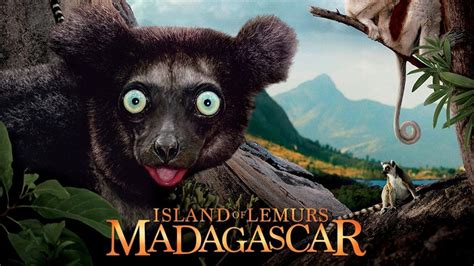 Island of Lemurs Madagascar Movie review